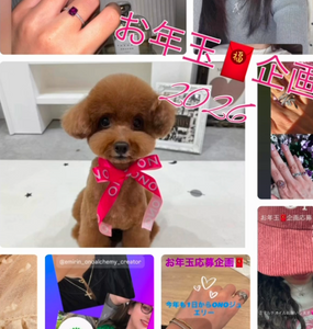 ONO、お年玉企画を実施 ― 日頃の感謝を込めて20名様へ特別な贈り物